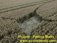 Avebury Stone Circle, Wiltshire crop circle, aerial photo 62
